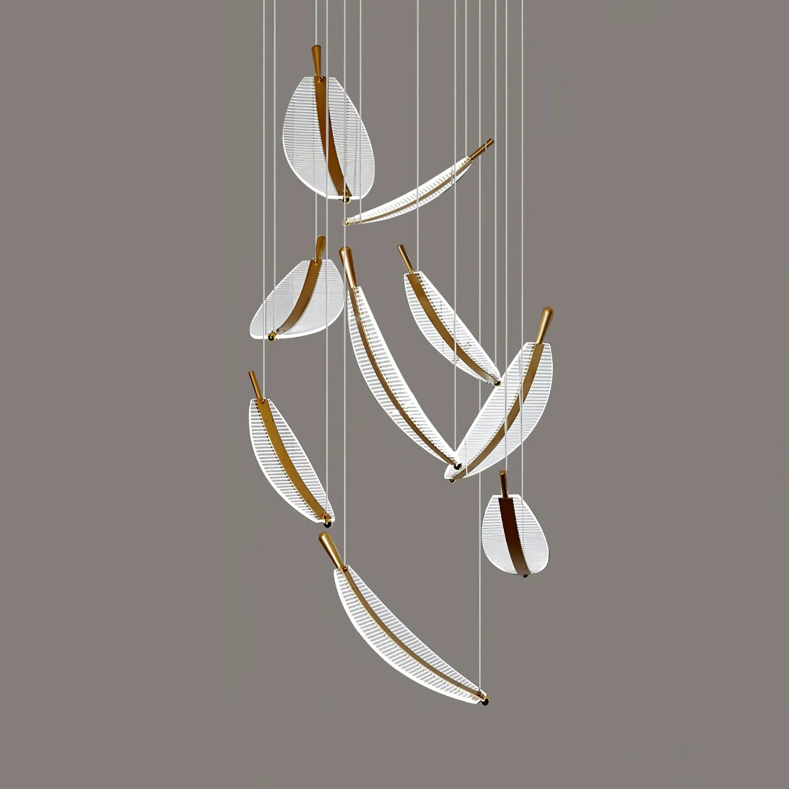 Product image 81